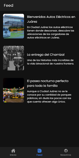 Guía Juárez Screen 3