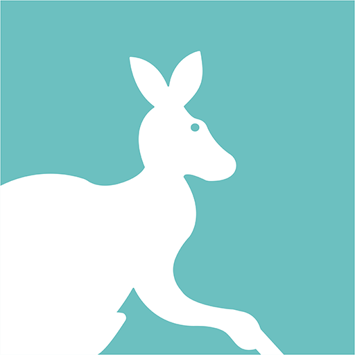 Kangaroo Store logo