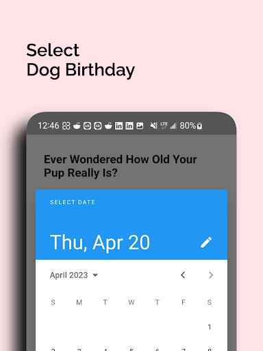 Dog Age Calculator-Human Years Screen 3