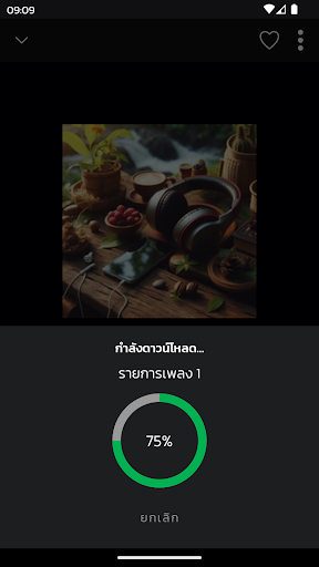 เพลงลูกทุ่งไม่ใช้เน็ต Screenshot 4 - AppWisp.com