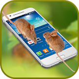 Mouse on Screen: Scary Best Crazy Prank Fun App icon
