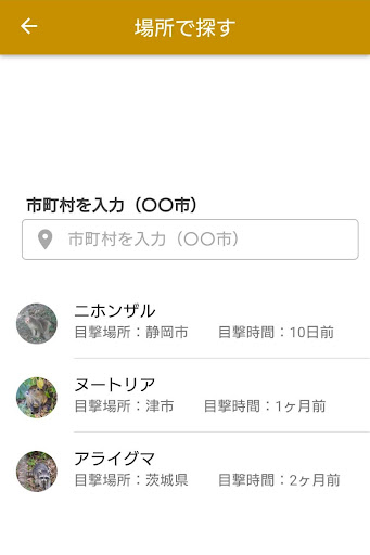 野生動物報告 Screen 2
