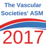 VSASM2017 icon