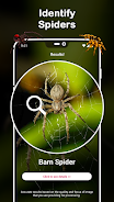 Insect Spider & Bug identifier Screenshot