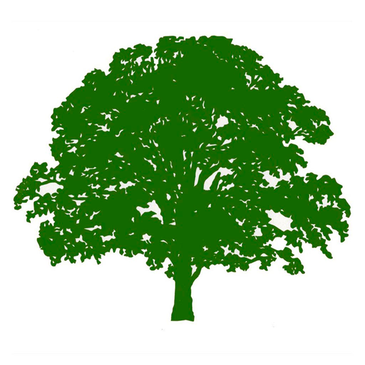 Forest Bathing Life logo