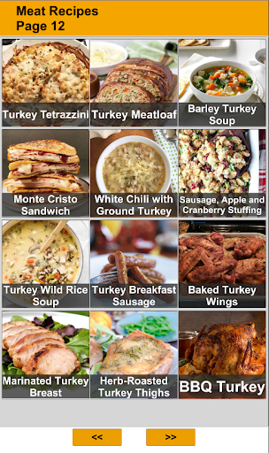 200 Meat Recipes Screen 3