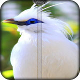 Parrot Zipper Lock Screen icon