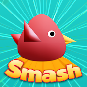 Cool Birds Game - Fun Smash