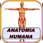 Cover Image of Descargar Learn Human Anatomy. Body 1.0.0 APK