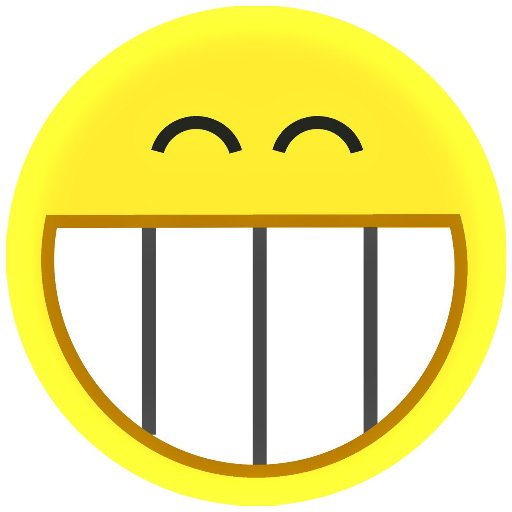 Smile To Fly logo