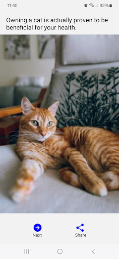 Cat Facts Screen 3