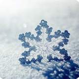 Snowflake Wallpaper HD icon