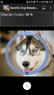 I-Identify Dog Breeds Pro APK (Ikhokhelwe/Igcwele) 3