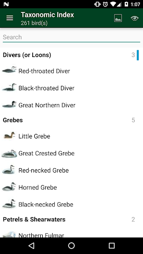 Birds of Germany & Switzerland Screenshot
