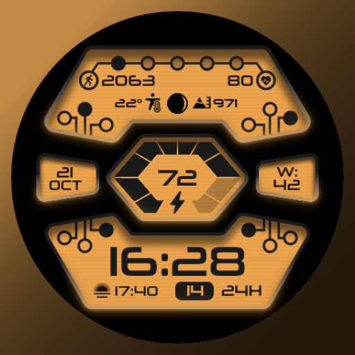 [69D] W2081 digital watch face logo