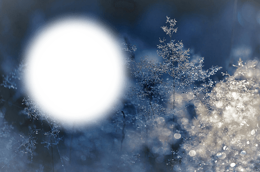Snow Fall Photo Frames Screen 2