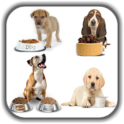 Top 39 Food & Drink Apps Like Dog Food Recipes - Homemade Dog Food Recipes - Best Alternatives
