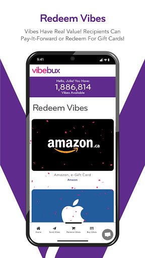 Vibebux Screen 3