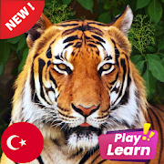 Learn Animals in Turkish: Picture Quiz Play Game  Icon