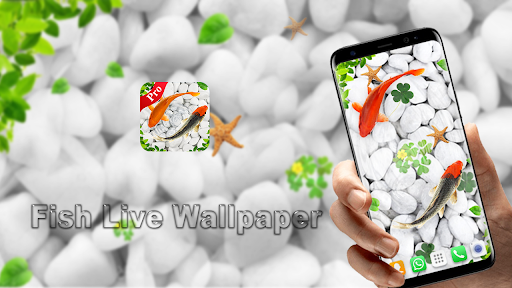 Download Fish Live Wallpaper Pro Aquarium Koi Backgrounds Free for Android  - Fish Live Wallpaper Pro Aquarium Koi Backgrounds APK Download -  