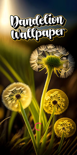 Android application dandelion wallpaper screenshort
