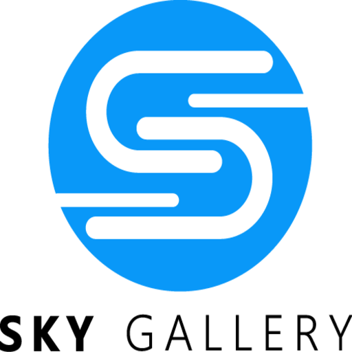 SKY-Wallet-Pro logo