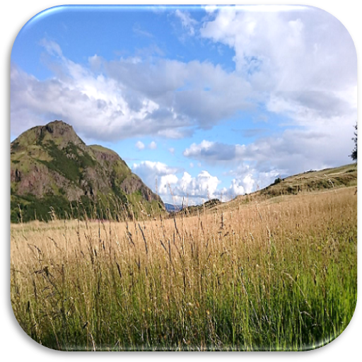 Relax Meditation  Chill Music