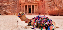 Camel Wallpapers APK