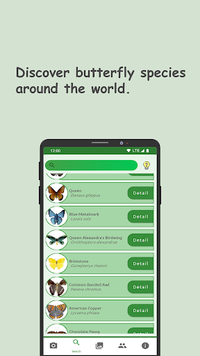 Butterfly: Identify, Search Screen 3