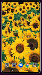Captura 12 Sunflower Wallpaper android