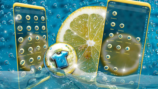 Meyer Lemon Theme Screen 3
