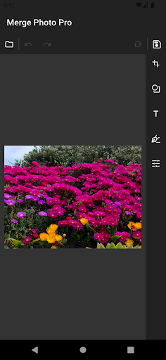 Android application Merge Photo Pro screenshort