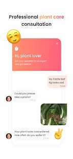 PlantIn: Plant Identification  Screenshots 6