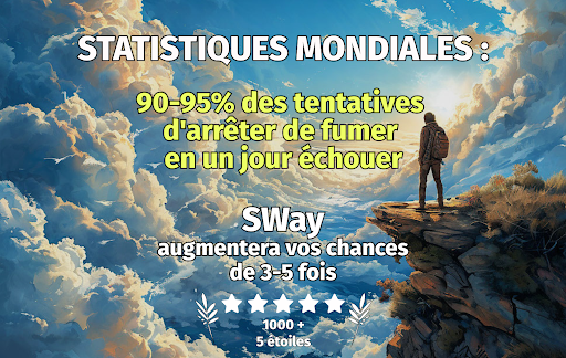 Aperçu de l'application