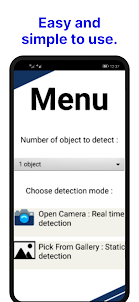 Object Camera Detector