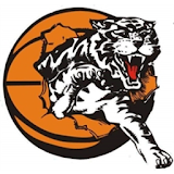 Willetton Tigers Basketball icon