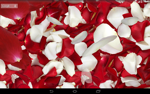 Petals 3D live wallpaper