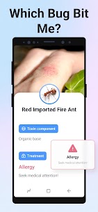 Picture Insect & Spider ID Mod Apk 3