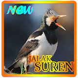 Jalak Suren Master icon