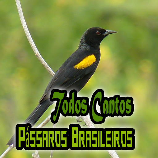 Todos Cantos Pássaros Brasilei