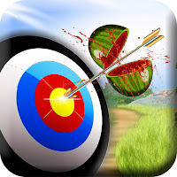 New Archery Shooting Master 3D