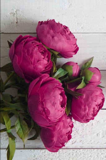 Beautiful Roses and Flowers Im Screen 3