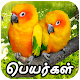 பறவைகளின் பெயர்கள் Birds Name Details in Tamil App Windows'ta İndir