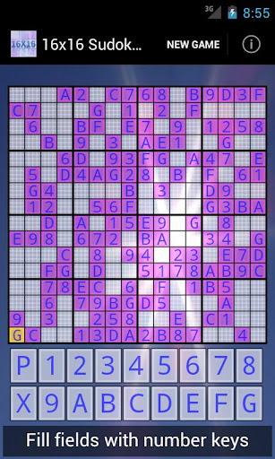 16x16 Sudoku Challenge HD 3.8.5 screenshots 1
