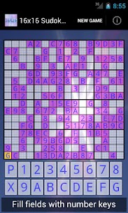 16×16 Sudoku Challenge HD 1