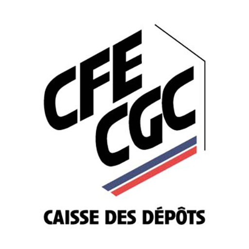 Lindispensable logo