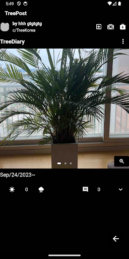 TreeCity Screen 2