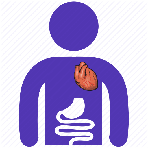 Anatomy Directory logo
