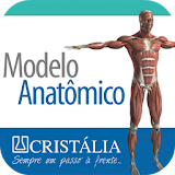 Modelo Anatômico icon