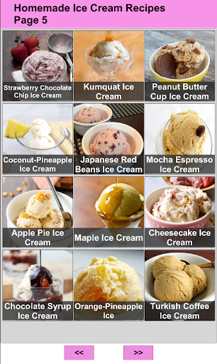 Homemade Ice Cream Recipes Screen 3